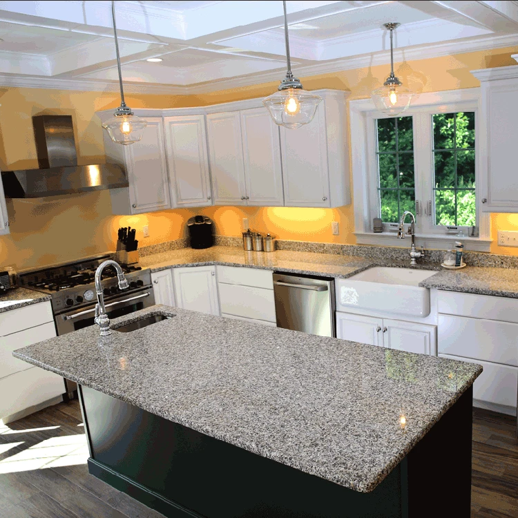 product-1-1 Rosa Beta Granite Countertop.png