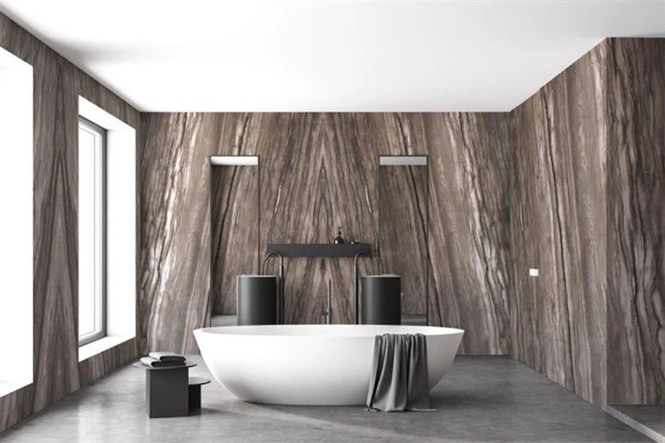 Sequoia Brown Quartzite Bathroom
