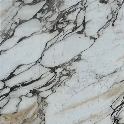 Calacatta Monet Marble